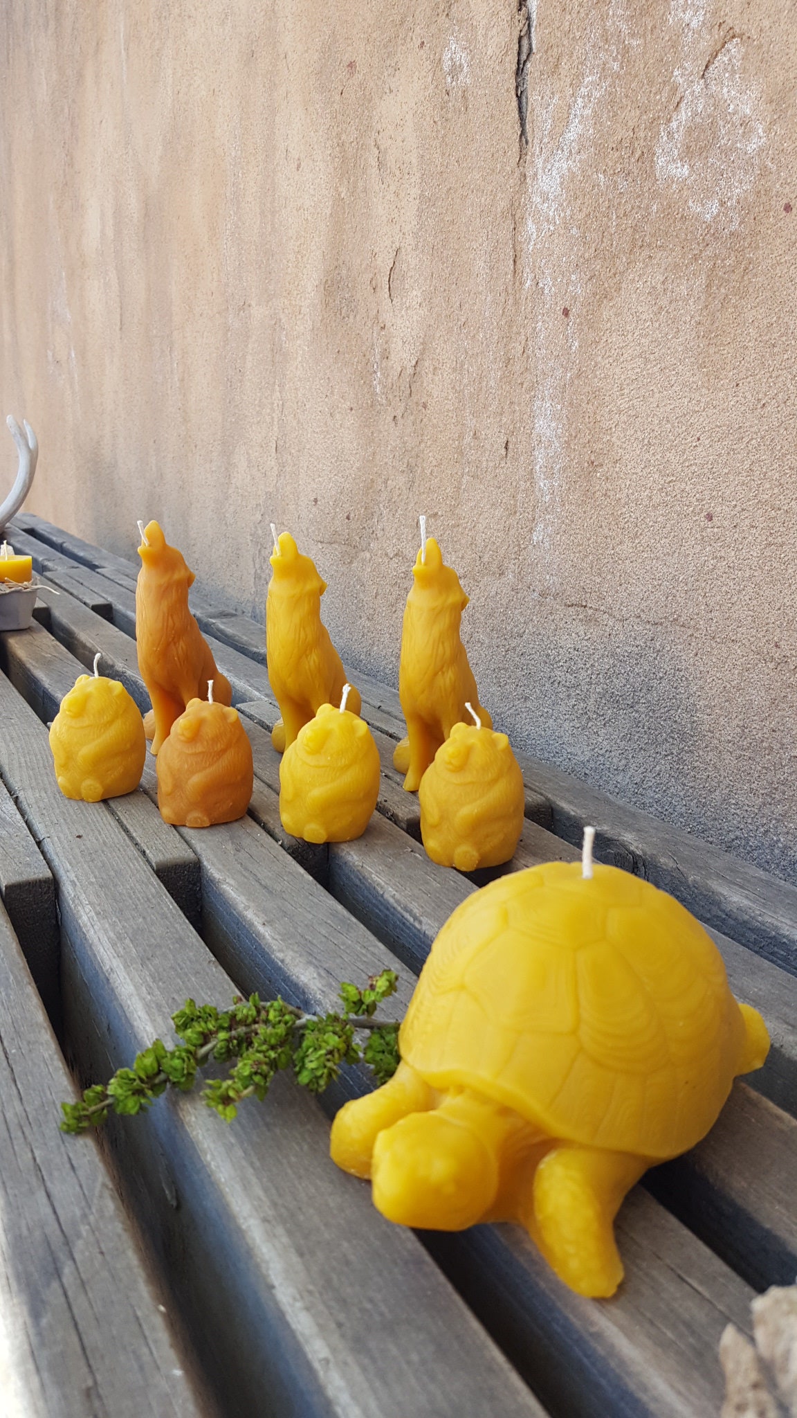 Pure Beeswax Large Tortoise, Tortoise, Candle, Candles, Beeswax ...