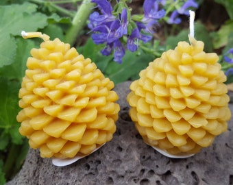 Pure Beeswax Pine Cone Candle, Beeswax Candle, Candles, Pine, Forest, Handmade