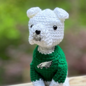 Puede incluir: Perro de crochet blanco con un suéter verde con un logotipo bordado de los Philadelphia Eagles.