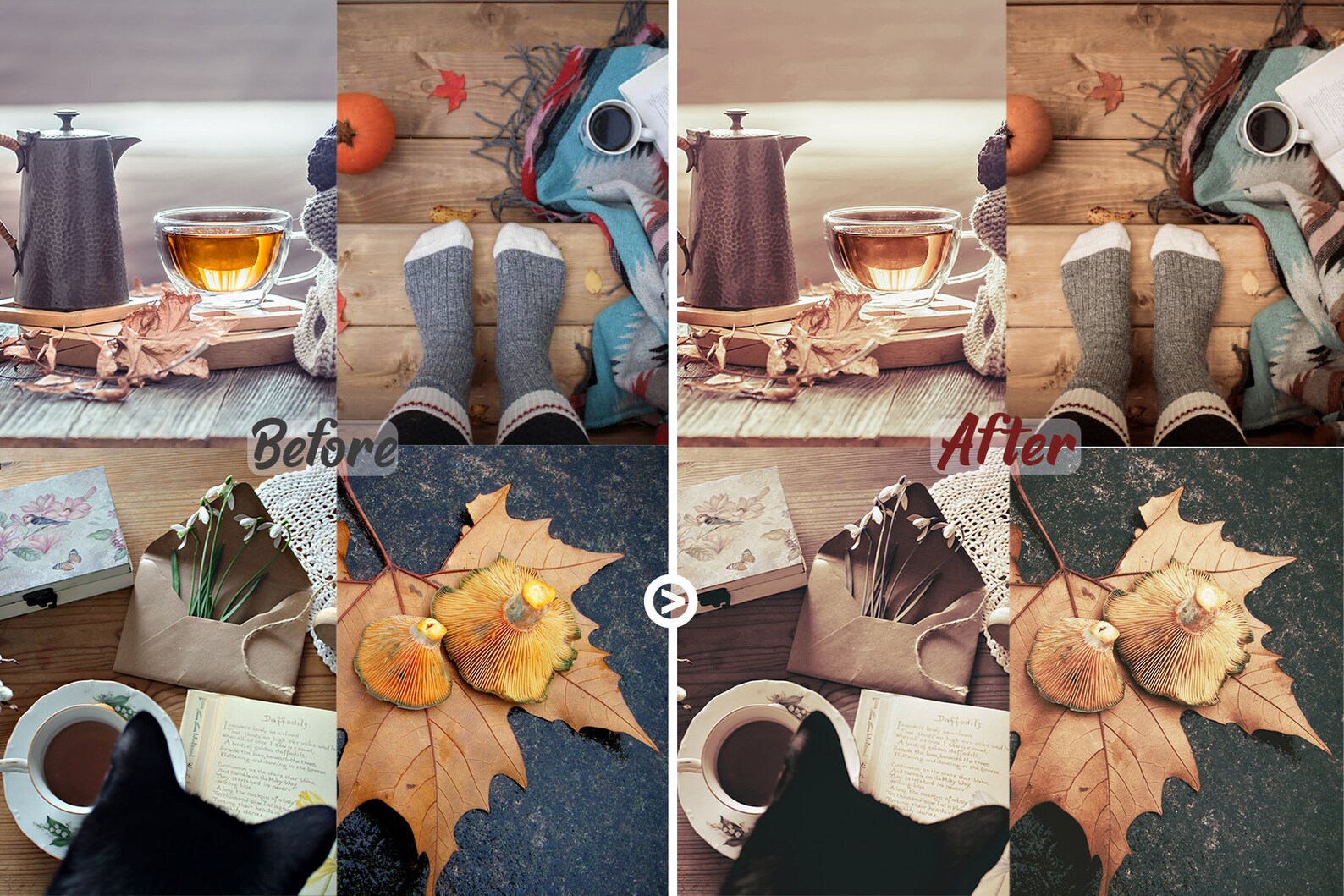 AUTUMN Luts Superpack for Video/photo Color Grading/editing |fall Color ...