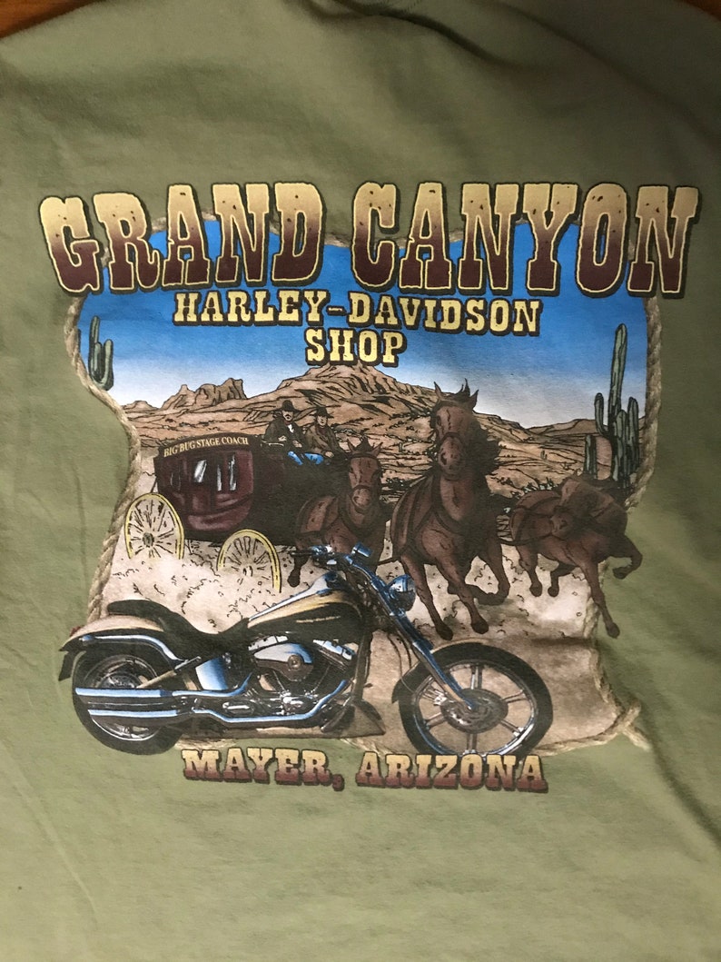 Vintage Grand Canyon Harley Davidson T Shirt Nevada