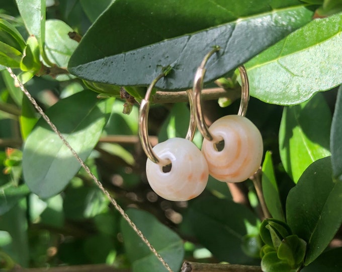 9 ct Solid Gold. Golden Sunrise Hawaiian Puka Shell Huggie Hoop Earrings. Guaranteed Authentic.