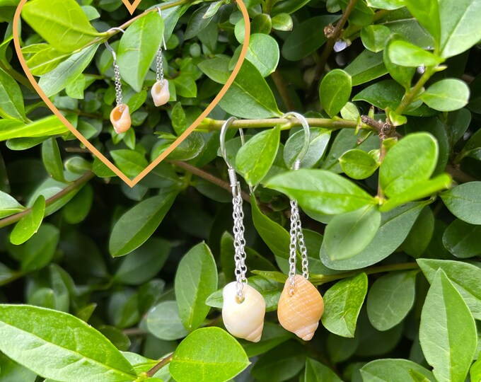 Beach Babe. Sun Kissed Whelk Shells on Sterling Silver Drop Earrings. Guaranteed Authentic.