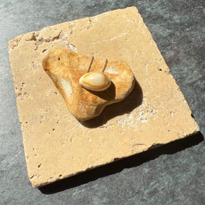 Gyllene timmen. Halsband i massivt 9 karat med äkta guldring av kauri. Garanterat äkta.