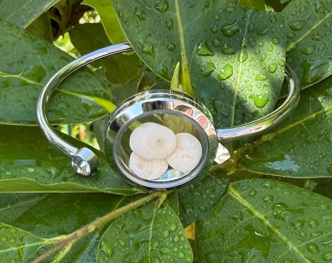 Beach Muse Bangle. Real Shiva Shells in Memory Locket Cuff Bangle.