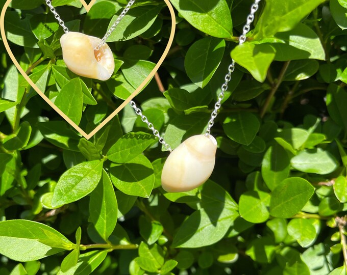 Beach Babe. Sun Kissed Whelk Shell on Sterling Silver Necklace. Guaranteed Authentic.
