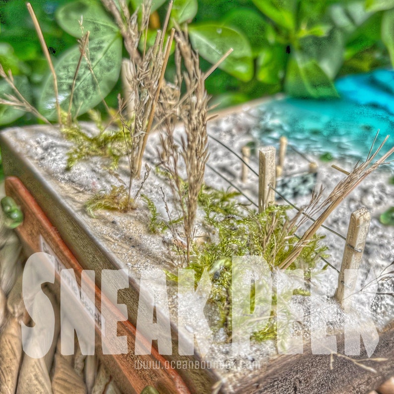 May include: A miniature beach scene with sand, dried grasses, and small wooden fences. The scene is set in a wooden frame with the text "SNEAKPEEK" and "www.oceanboombox.com" visible.