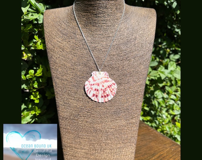 Beach Muse. Real Scallop Shell on Sterling Silver Necklace. Boho Chic Style.  Guaranteed Authentic.