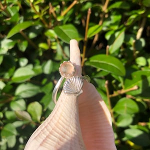 Blush Pink. Seaham Sea Glass Ring. Sterling Silver Shell Design. Adjustable. Guaranteed Authentic.