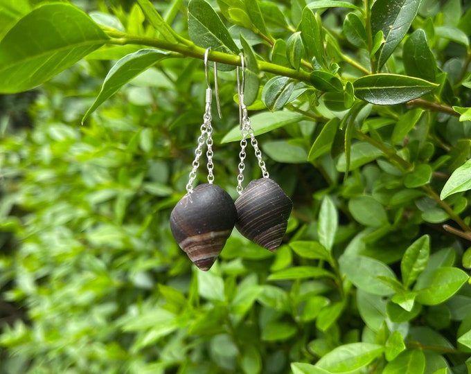 Coconut Swirl. Real Shell on Sterling Silver Drop Earrings. Guaranteed Authentic.