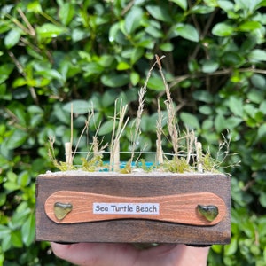 May include: A miniature wooden box with a miniature beach scene inside. The scene features a small blue pool of water, green moss, and brown sticks. The box is labeled "Sea Turtle Beach".