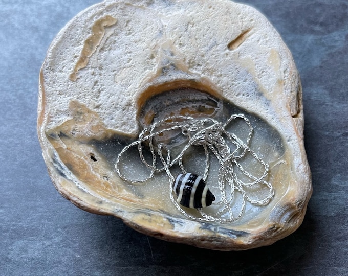 Bumble Bee. Real Shell on Sterling Silver Floating Necklace. California Bumble Bee. Guaranteed Authentic.