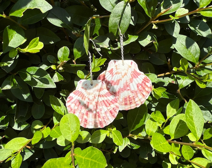 Beach Muse. Real Scallop Shell on Sterling Silver Earrings. Boho Chic Style.  Guaranteed Authentic.