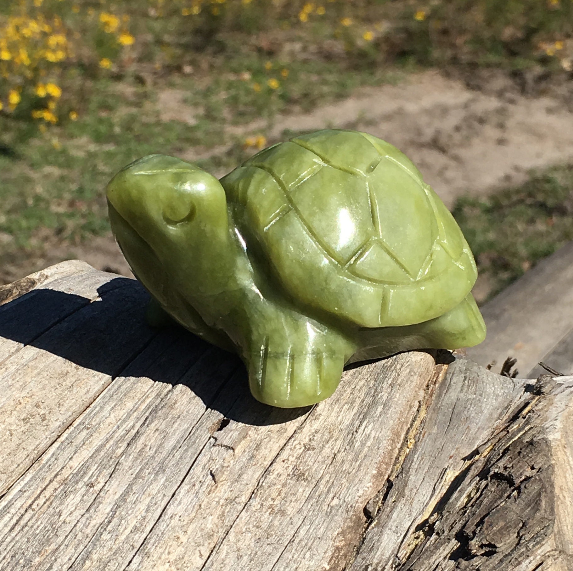 Small Green Jade Turtle Hand Carved 0.490 Lbs. Etsy