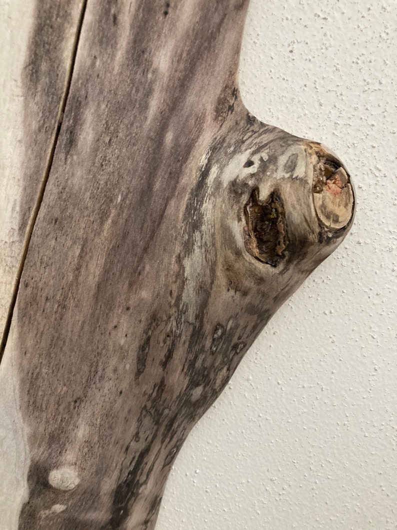 Beachy Reclaimed Wood Wall Decor Live Edge Wall Decor Box Etsy