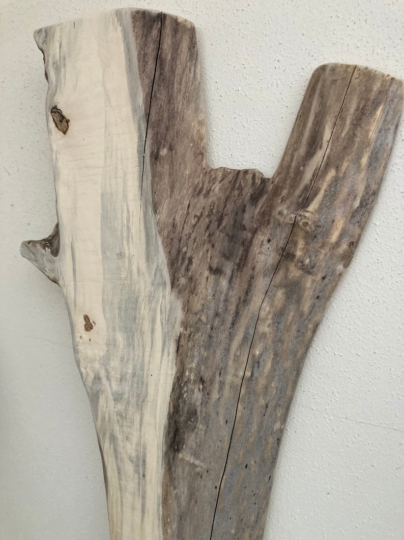 Beachy Reclaimed Wood Wall Decor Live Edge Wall Decor Box Etsy