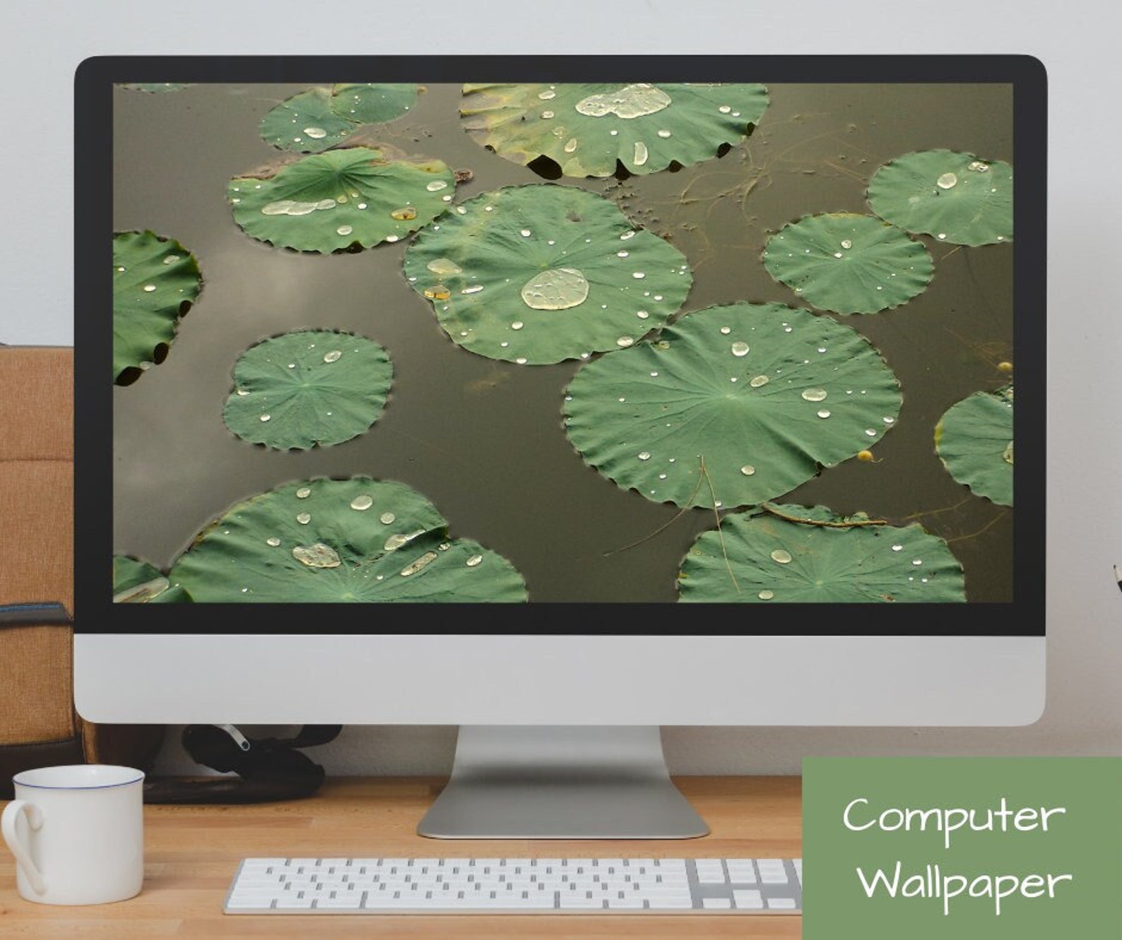 Lily Pad 2 Computer Wallpaper Digital Background File | Etsy