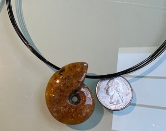 Fossil ammonite drilled bead on black stainless cord