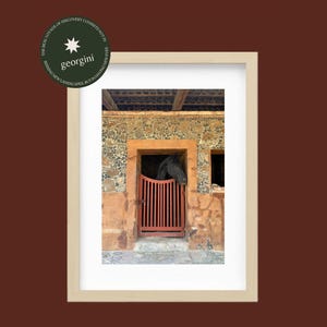 Lustre Art Print | Stallion at the Stables, Teuchitlán, Jalisco, Mexico (Chema)