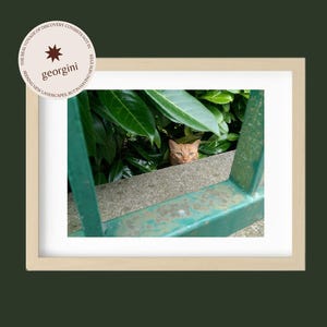 Lustre Art Print | French Cat in Greenery, Rennes France