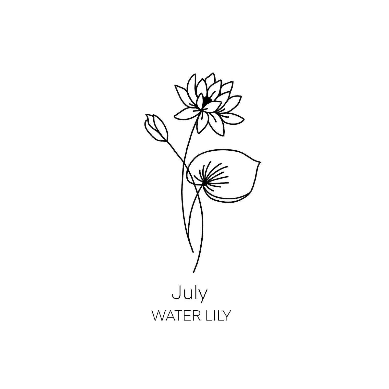 July Birth Month Sticker July Flower Sticker July Zodiac Etsy