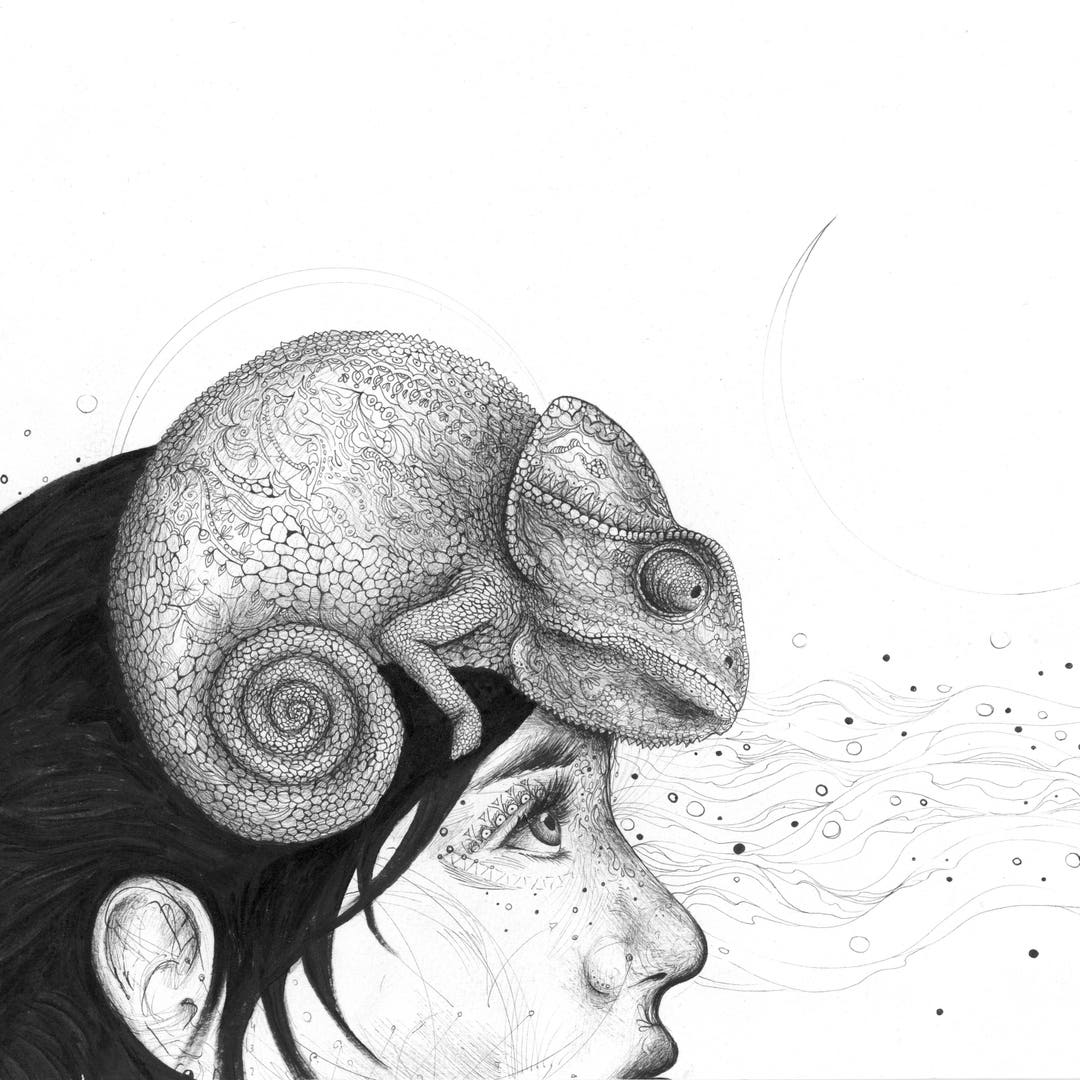 A Lesson in Composition Fine Art Print Etsy