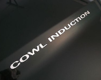 COWL INDUCTION Hood Decals / Door Badges / Fender Stickers