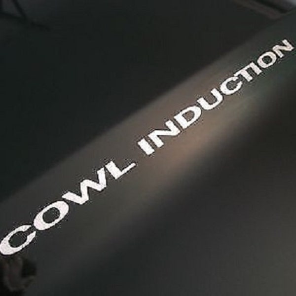 COWL INDUCTION Hood Decals / Door Badges / Fender Stickers