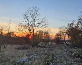Ćićarija Wald Herbst Sonnenuntergang, 2021-11