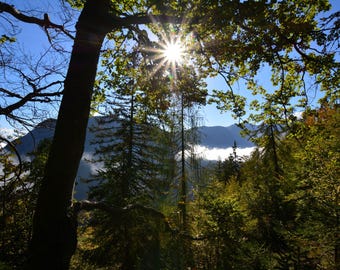 Sonnenaufgang im Wald – Vrtaško Sleme, Julische Alpen – Digitalfotografie 2016