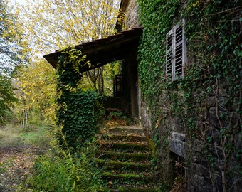 Sovinjska brda Herbsthaus 2021