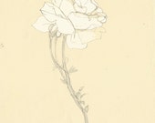 Produkty Podobne Do Nadruk Oryginalnej Ilustracji Biała