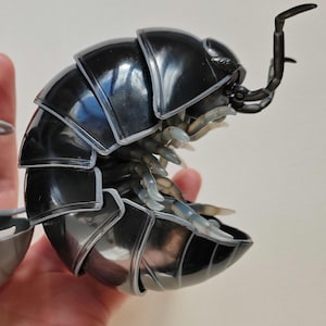 Dangomushi - Isopod, Woodlouse, Pillbug figures! Various options, Japanese exclusives.