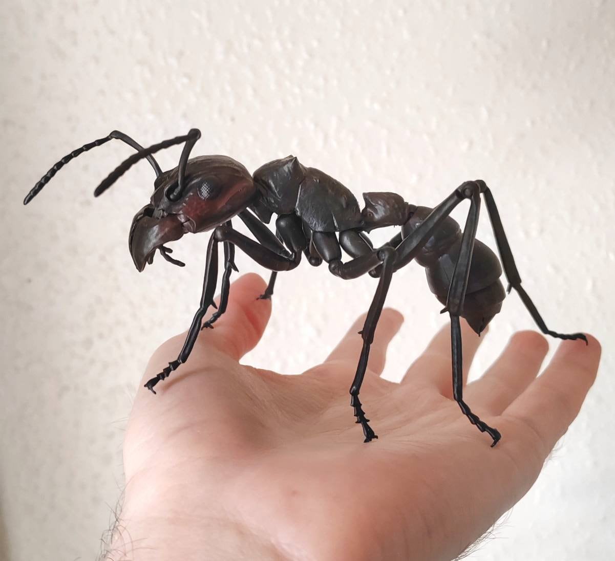 Bullet Ant Ritual Hand After Bullet Ant Glove After