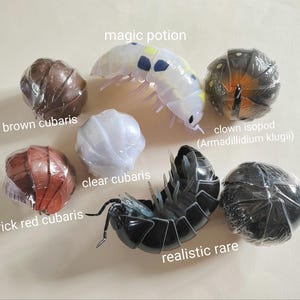 Dangomushi - Isopod, Woodlouse, Pillbug figures! Various options, Japanese exclusives.