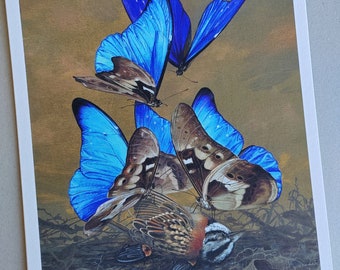 Songbird - limited edition art print by Carim Nahaboo. Morpho rhetenor cacica butterflies