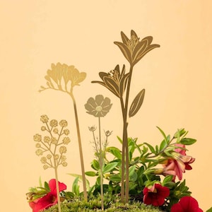 Könnte beinhalten: Ein Terrakotta-Topf gefüllt mit Moos und roten Blumen, mit fünf goldenen Metallblumen-Ausschnitten, die im Moos angeordnet sind.