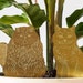 see more listings in the Plant Animals! section