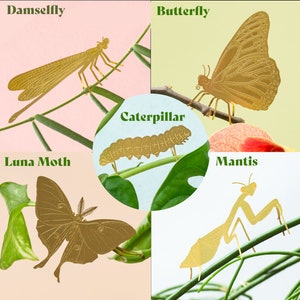 Insects set of x7, Butterfly, Bumblebee, Luna Moth, Caterpillar, Mantis, Damselfly and Grasshopper. House plant decorations.