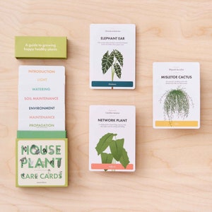 Cartes d'entretien des plantes d'intérieur, édition 2 : conseils, astuces et entretien pour des plantes heureuses ! Fournitures de jardin
