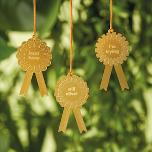 Houseplant Awards to celebrate your plant's progress, problems and personality traits image 1