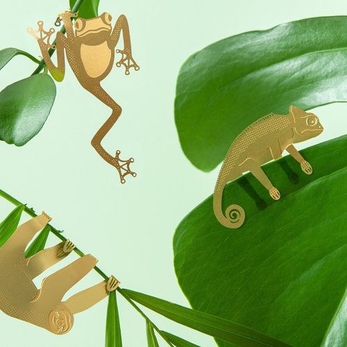 Plant Animal Decorations - houseplant gifts