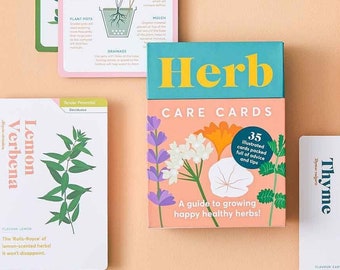 Herb Care Guide: advice, tips and maintenance to grow healthy herbs