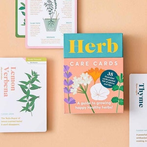 herb care cards by another studio