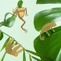 Plant Animal decorations! Cute houseplant gifts for plant lovers