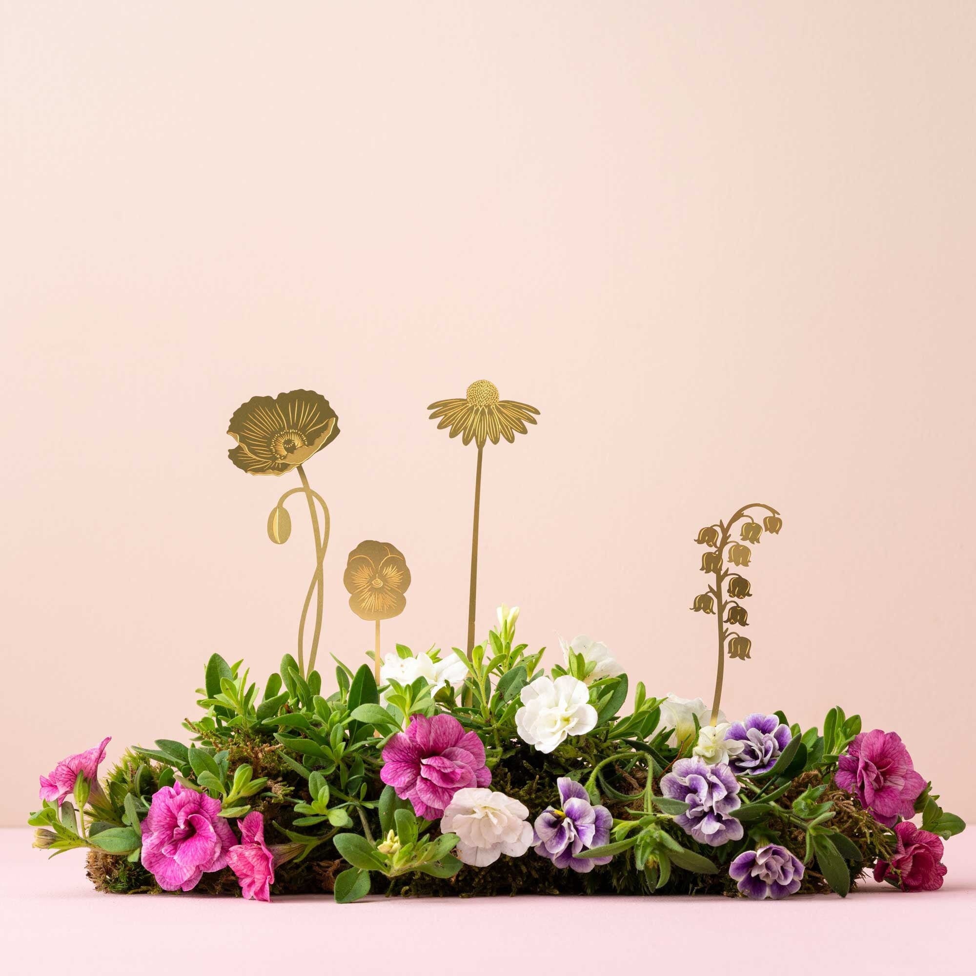 Brass Bloom - Édition Jardin, Décorations Florales