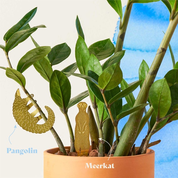 Plant Animal Decorations Houseplant Gifts - Etsy Plant Animal Decorations Houseplant Gifts - Etsy