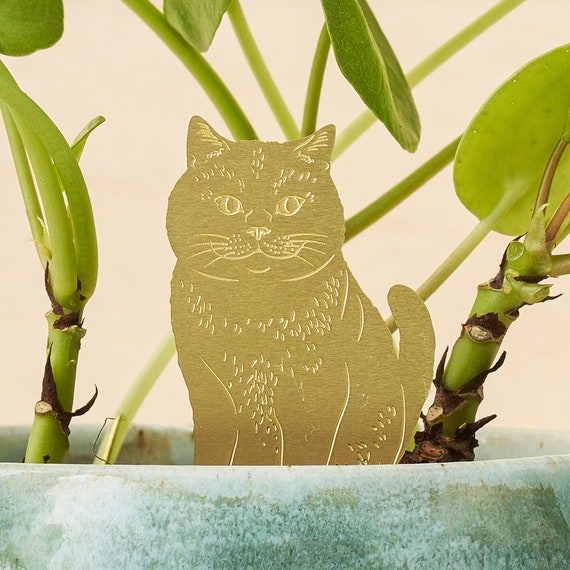 Katze Pflanze Tier, Haustier Dekoration für Zimmerpflanzen, süßes Kätzchen  Geschenk - .de