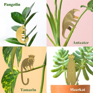 Plant Animal decorations, cute houseplant gifts image 7