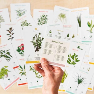 Houseplant Care Cards plant advice and care tips for indoor happy plants image 2